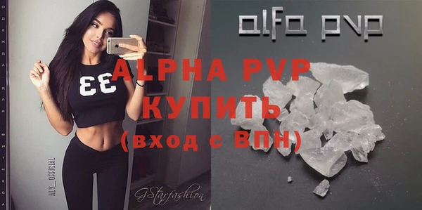 индика Арсеньев