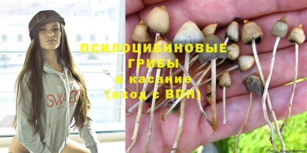 хмурый Абинск